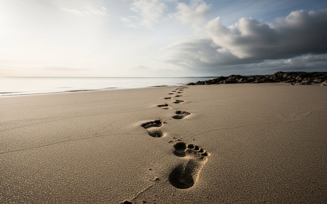 Choices Have Consequences: Why Every Decision Shapes Who You Become