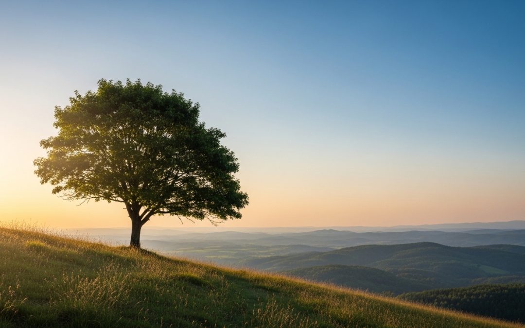 Quotes About Resilience and Perseverance That Help You Keep Going When Life Gets Hard